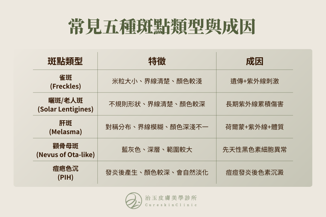 常見五種斑點類型與成因